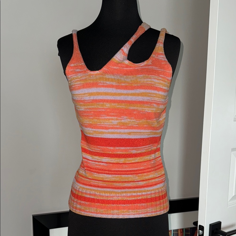 Jonathan Simkhai Multicolor Striped Tank Top